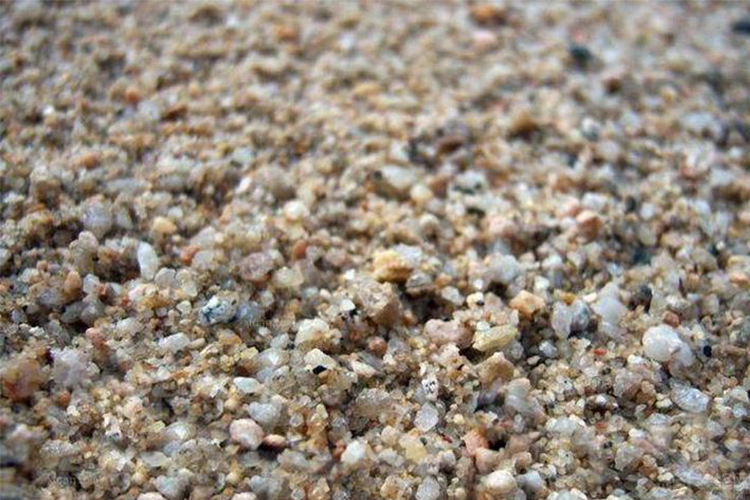 1-211105164ZD02 1-211105164ZD02